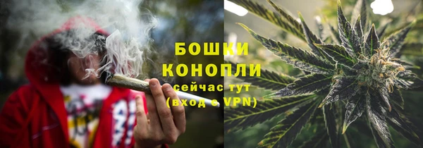 дживик Бронницы