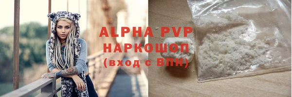 гидра Новодвинск