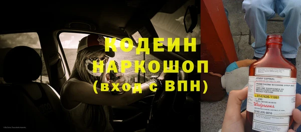гидра Новодвинск