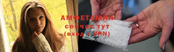 стаф Нея