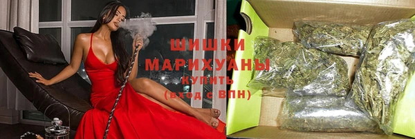 индика Сясьстрой